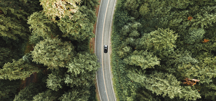 Air view of a car in route between a field of trees.