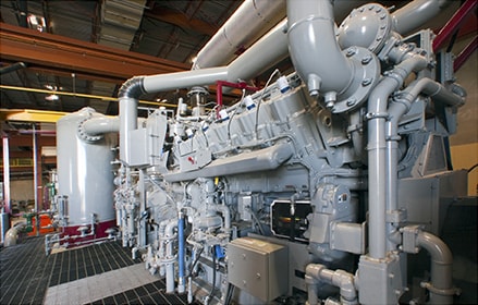 Natural gas engine