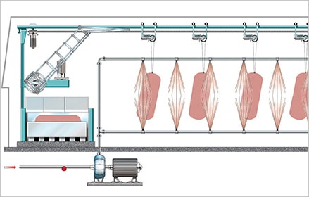 meat process plant