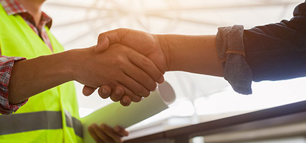 Businessman and Expert shaking hands