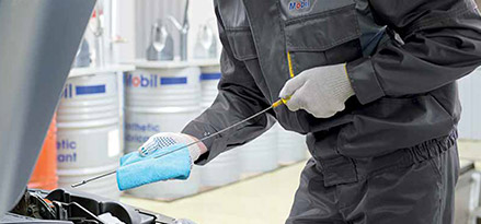 Expert with dip-stick